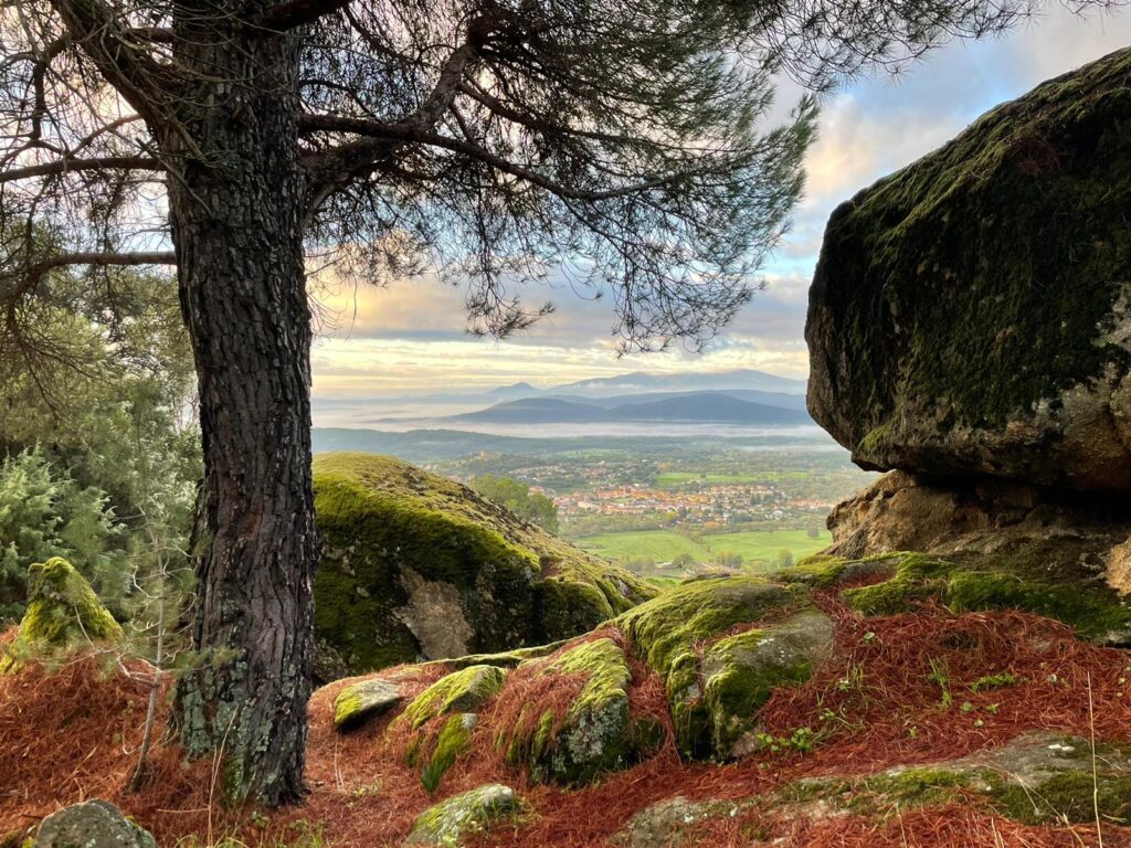 Vista de La Adrada